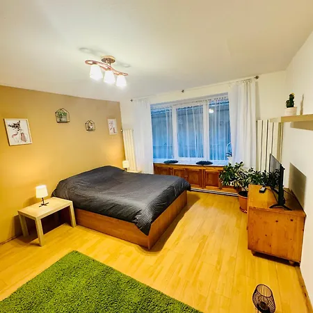 Studio Luca Sibiu Esterno foto